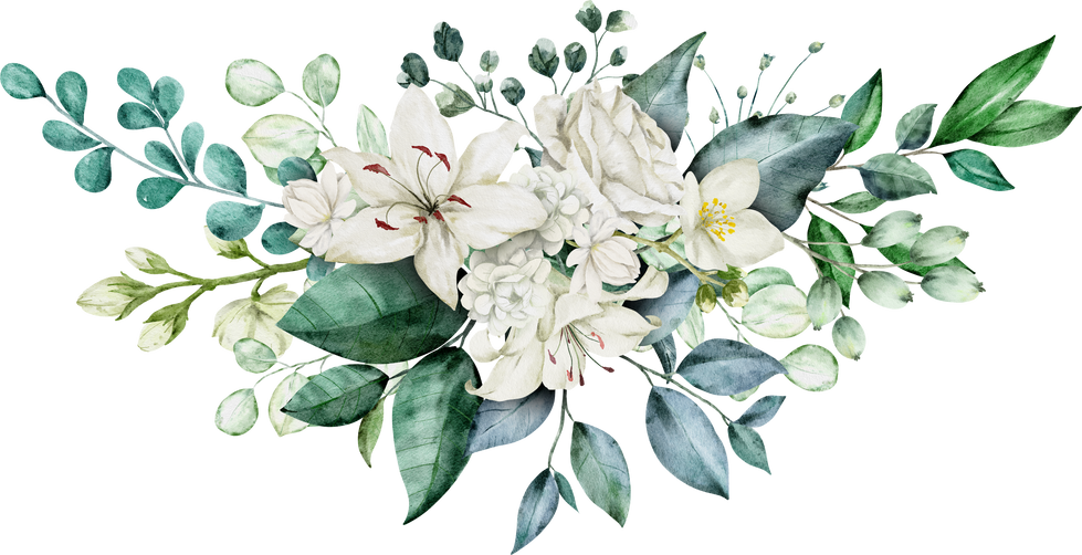 Green leaves and white rose watercolor